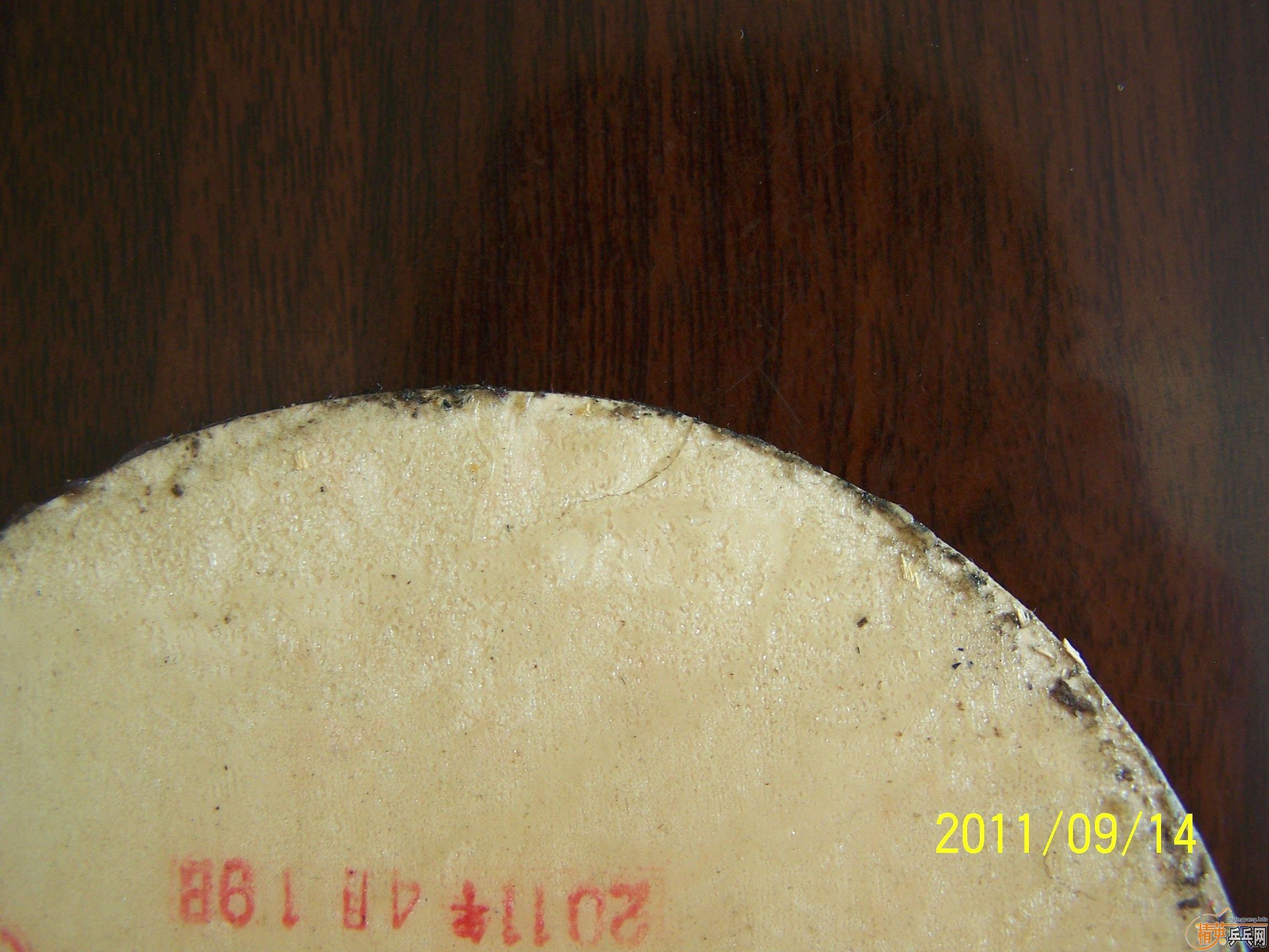 ���л�CL-CR-WR��OC-CR-WRB�����˵���̼��OMEGA3��ɫ�׽���