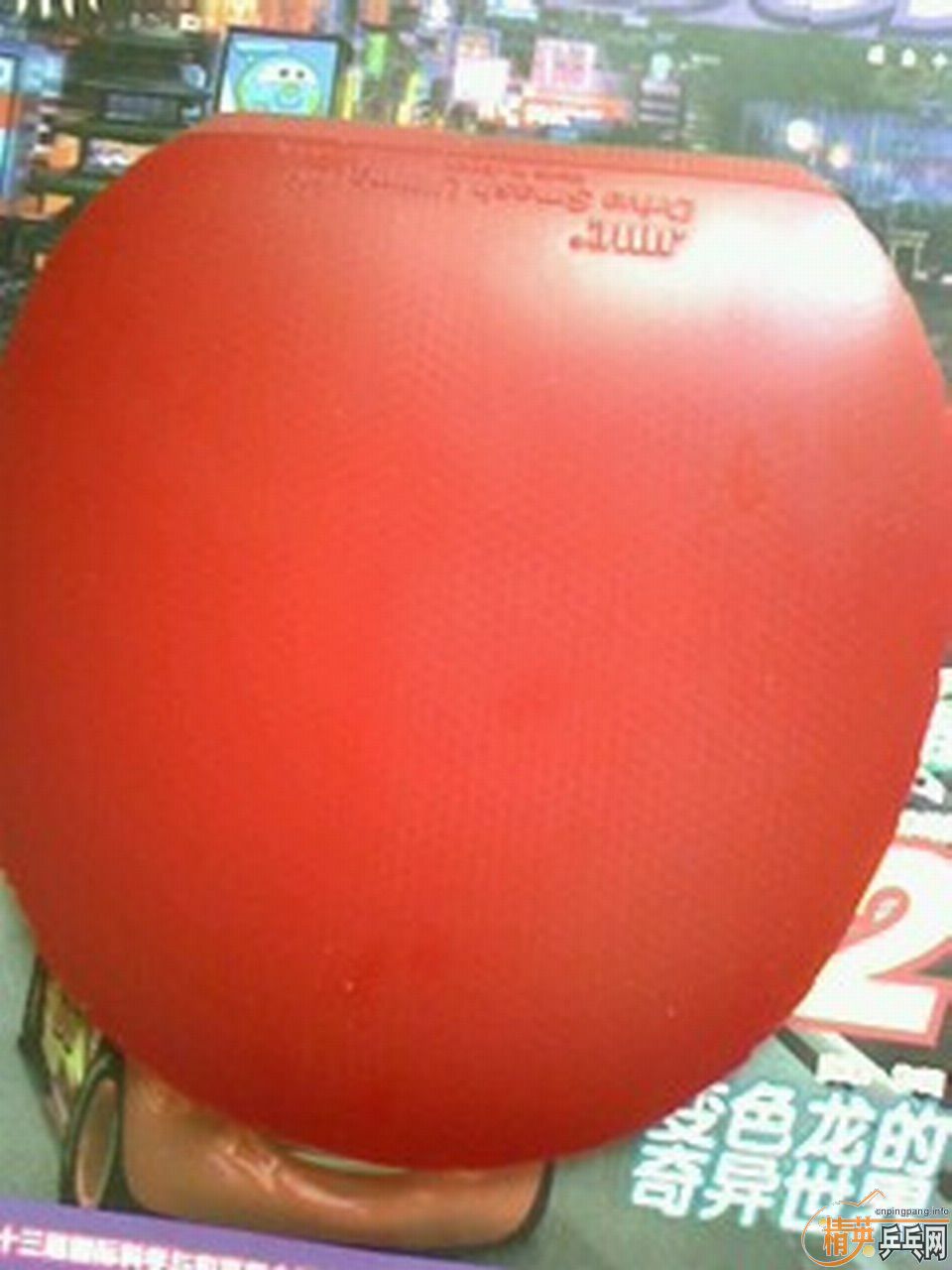 �ٳ�һ�ž����˽�Ƥ��04��2