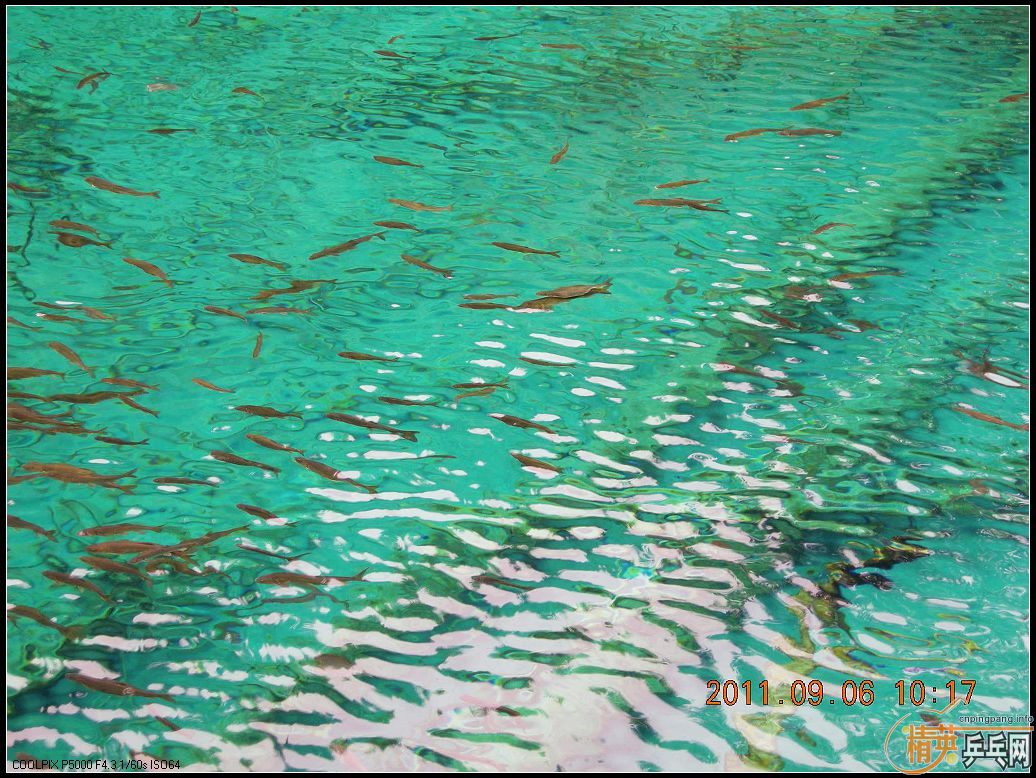 Ц�ɳ�Ʒ��BOLL����T64������JO��˳��С������������ľ�կ���