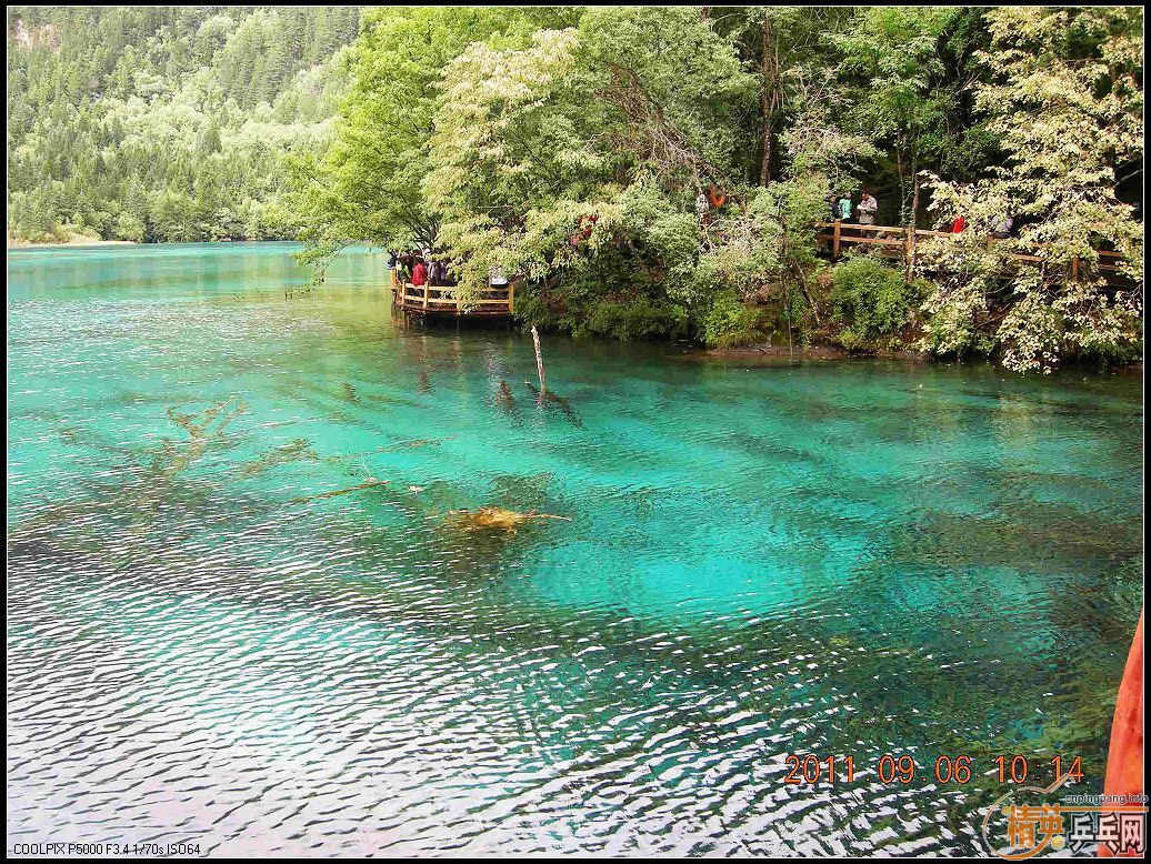 Ц�ɳ�Ʒ��BOLL����T64������JO��˳��С������������ľ�կ���