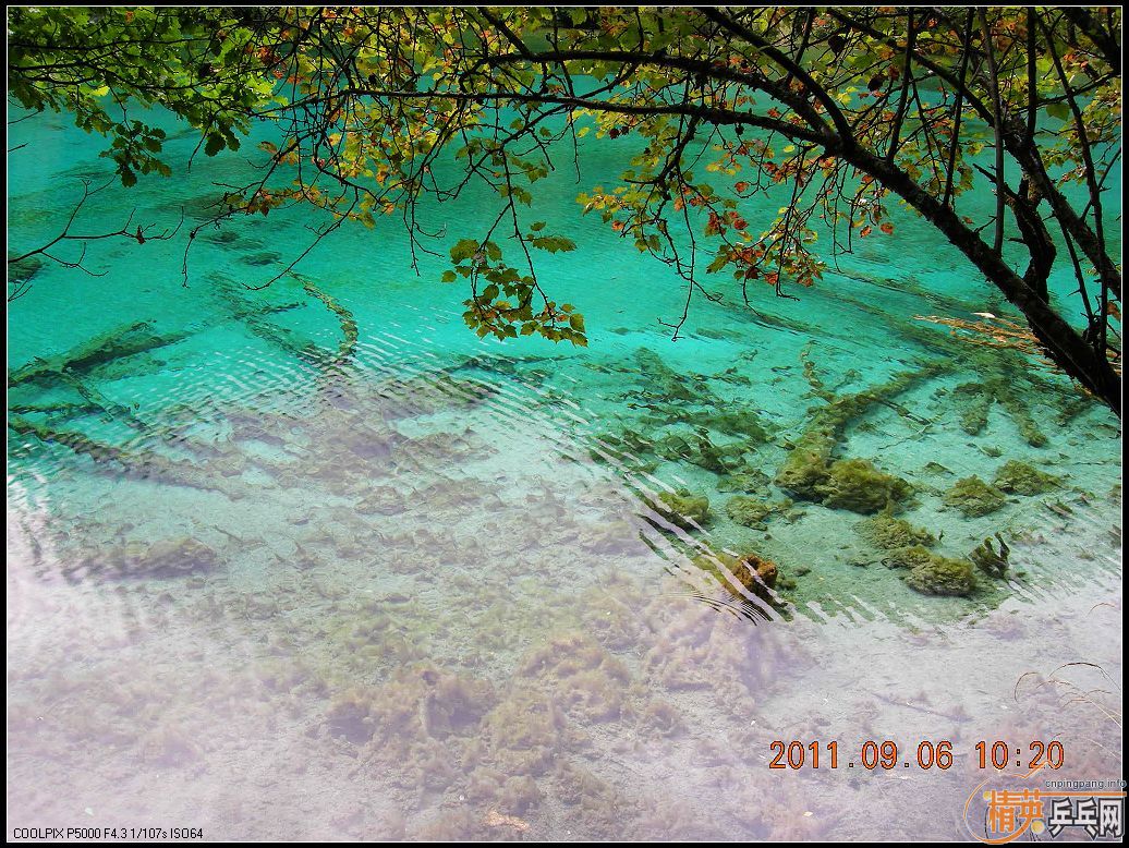 Ц�ɳ�Ʒ��BOLL����T64������JO��˳��С������������ľ�կ���