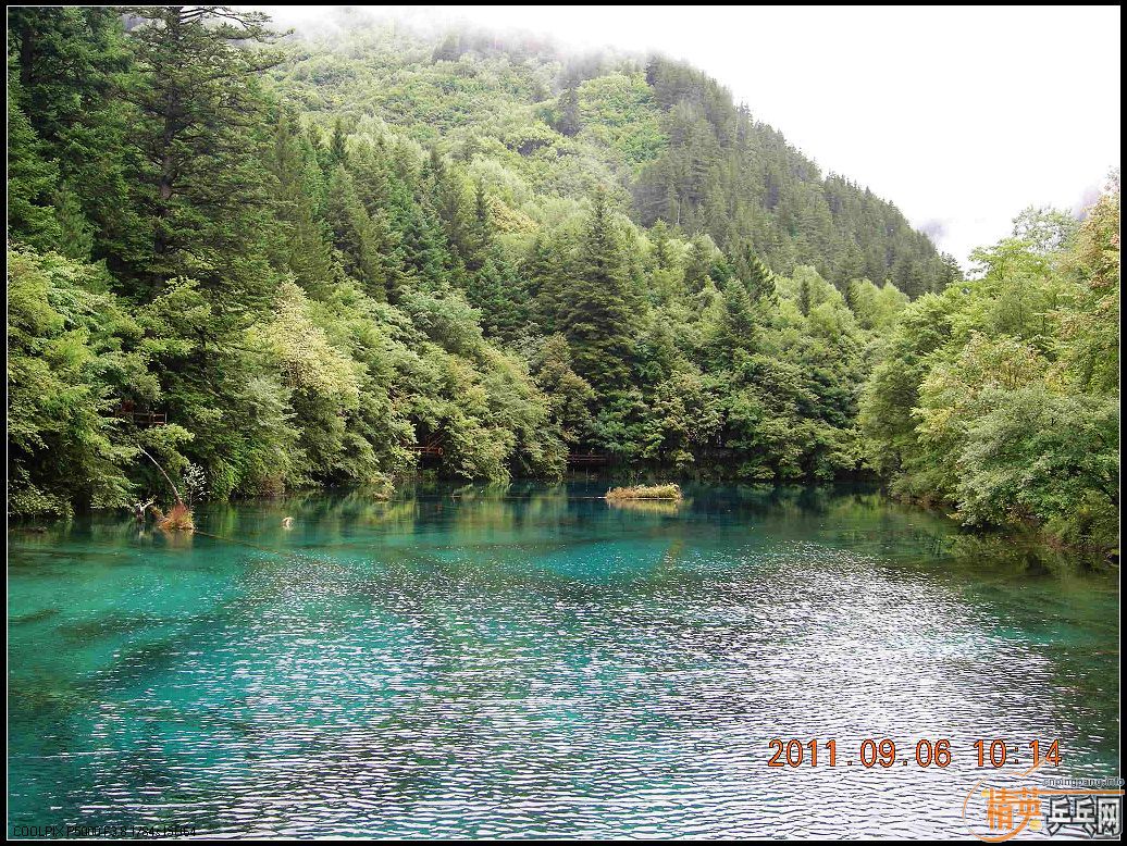 Ц�ɳ�Ʒ��BOLL����T64������JO��˳��С������������ľ�կ���