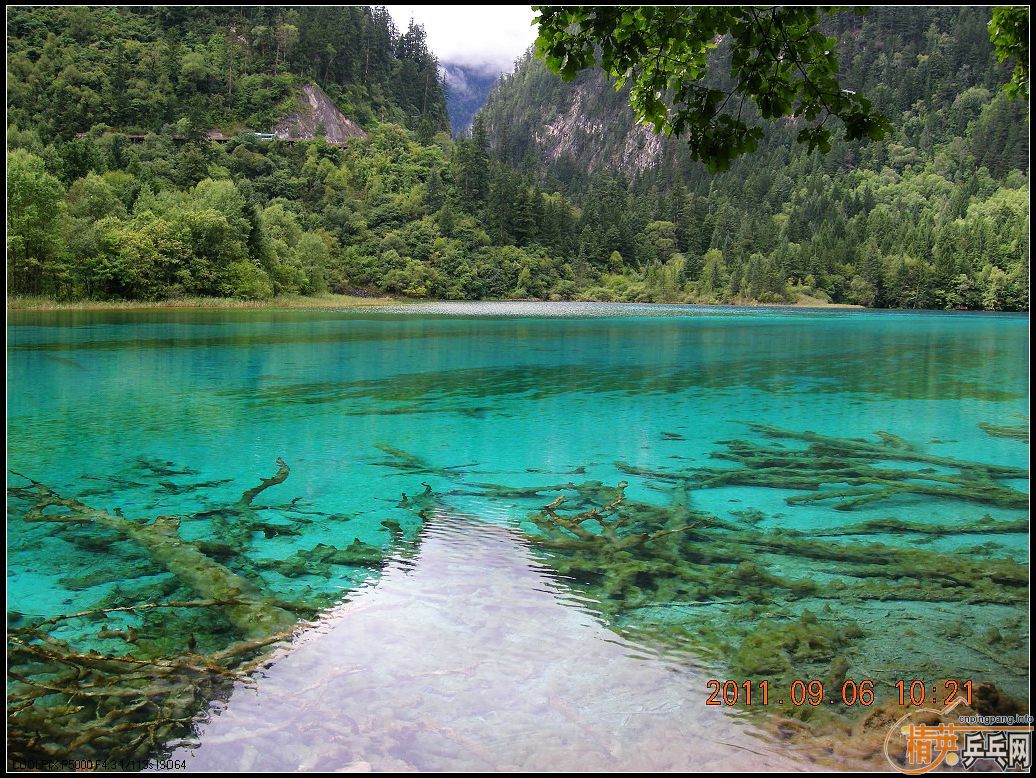 Ц�ɳ�Ʒ��BOLL����T64������JO��˳��С������������ľ�կ���