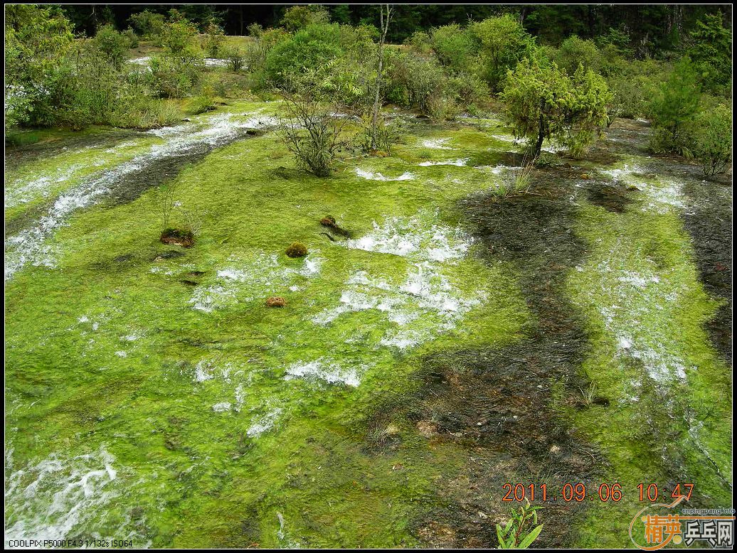 Ц�ɳ�Ʒ��BOLL����T64������JO��˳��С������������ľ�կ���