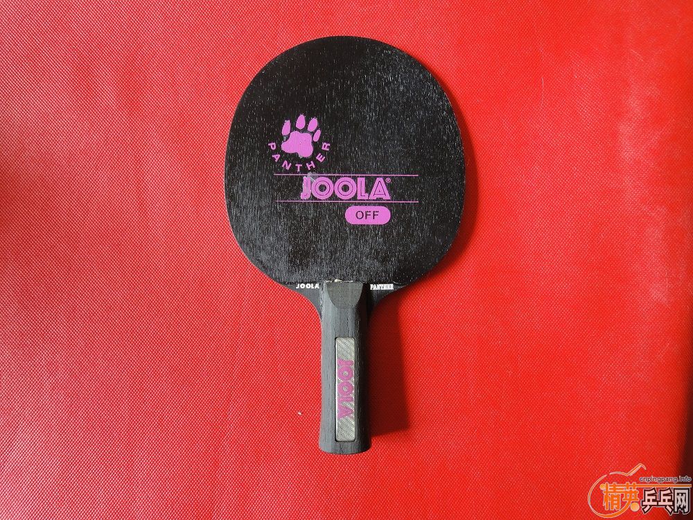 JOOLA PANTHER ڱ ST ()