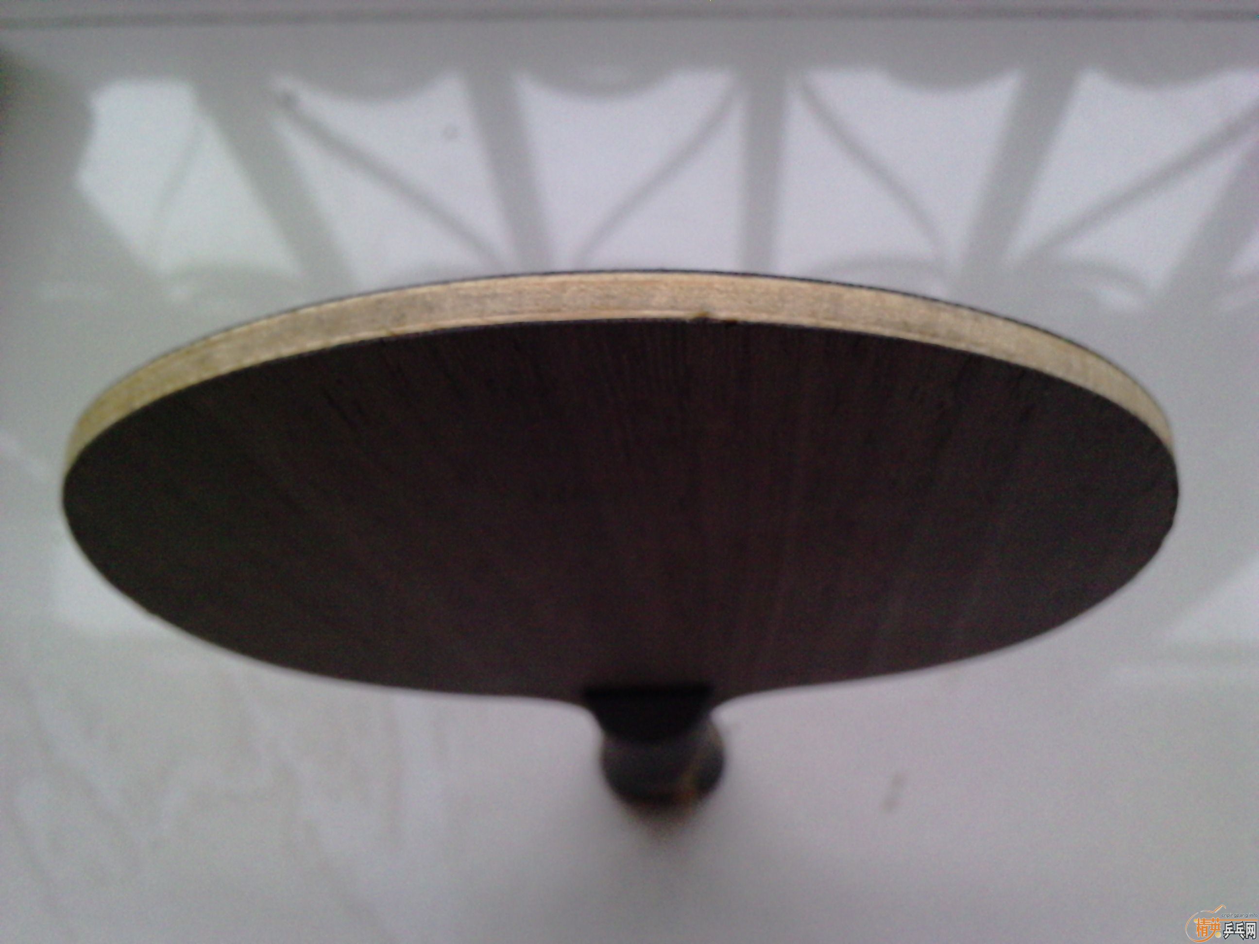 --�Ϻ�˫ϲ---����ALC---����������ruits