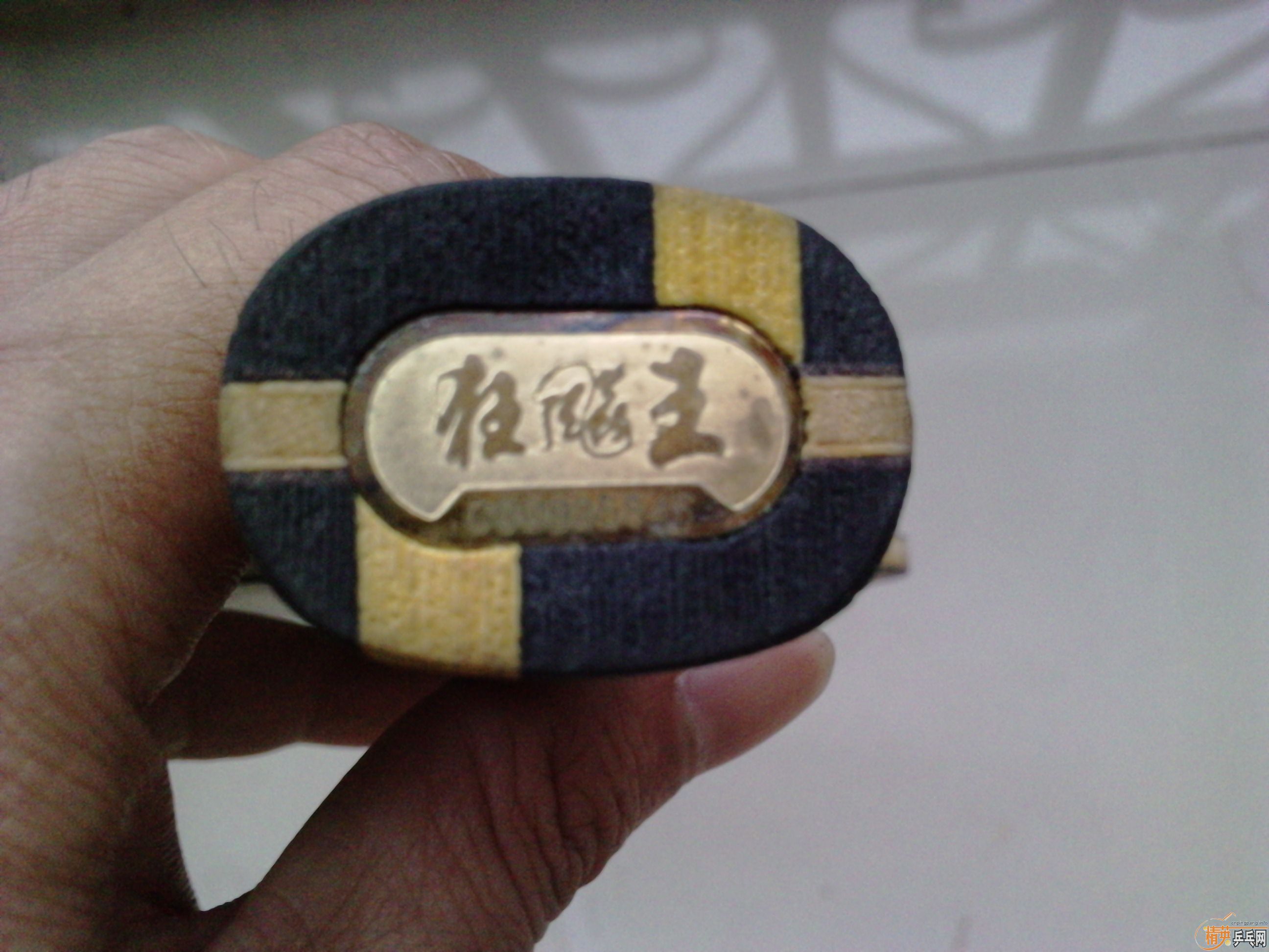 --�Ϻ�˫ϲ---����ALC---����������ruits