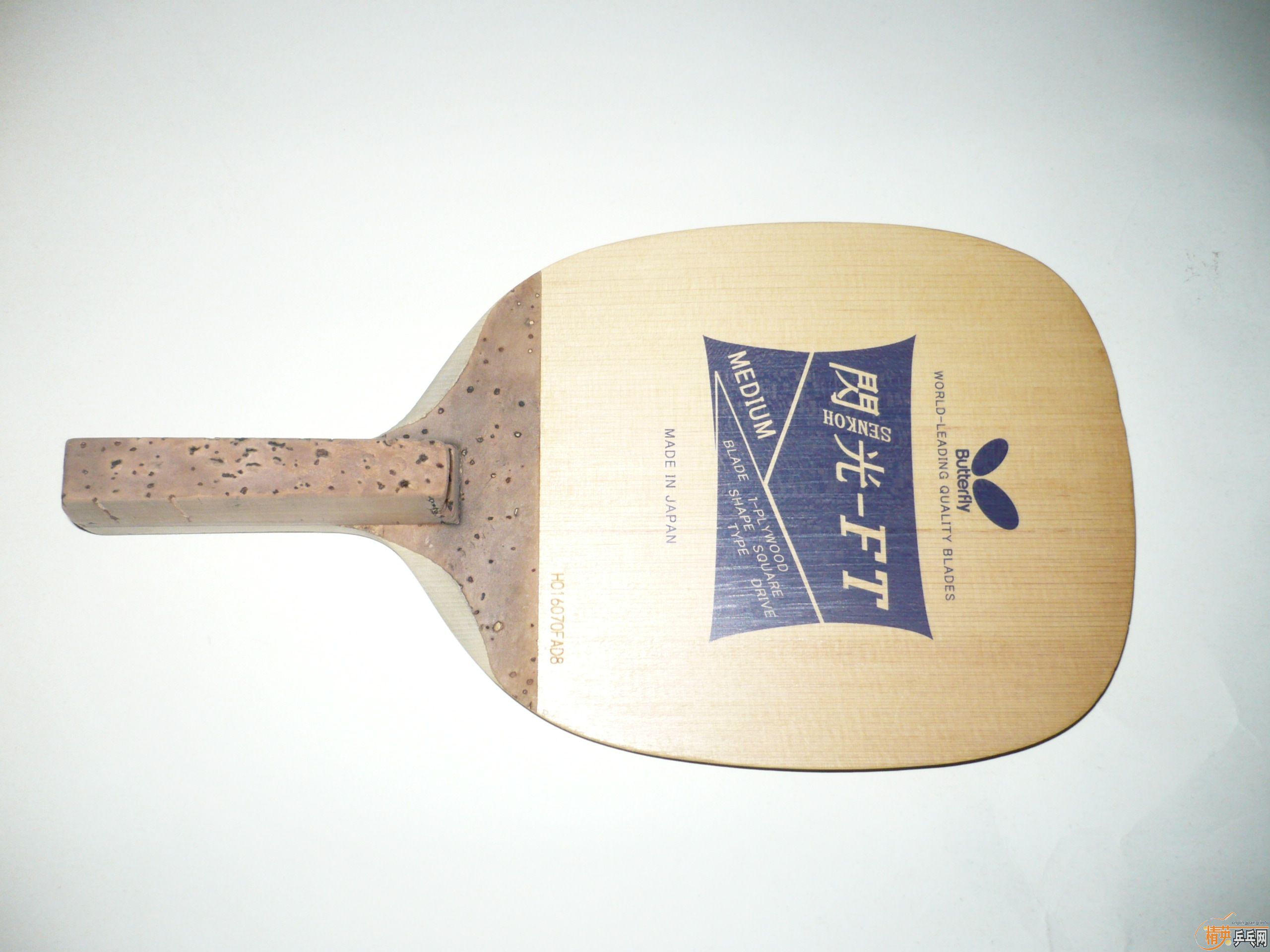 ��9���µ�����������FT