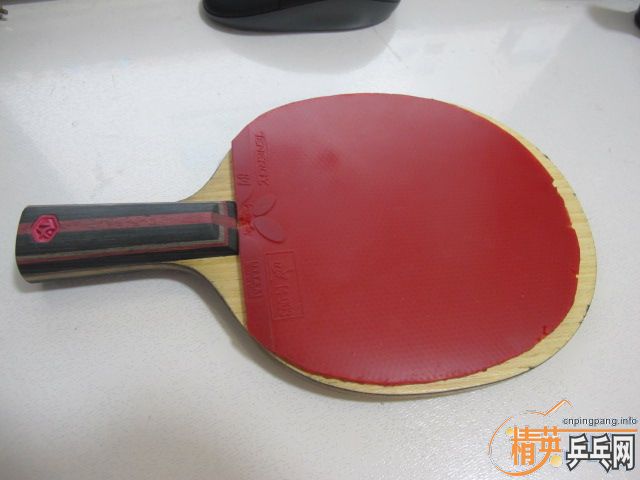 ֧������xiom�Ͽ����ɱ���ֱ��