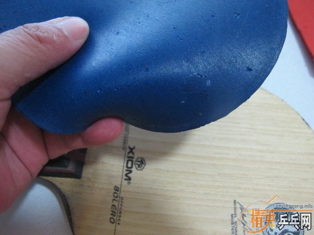 ֧������xiom�Ͽ���汩��ֱ��