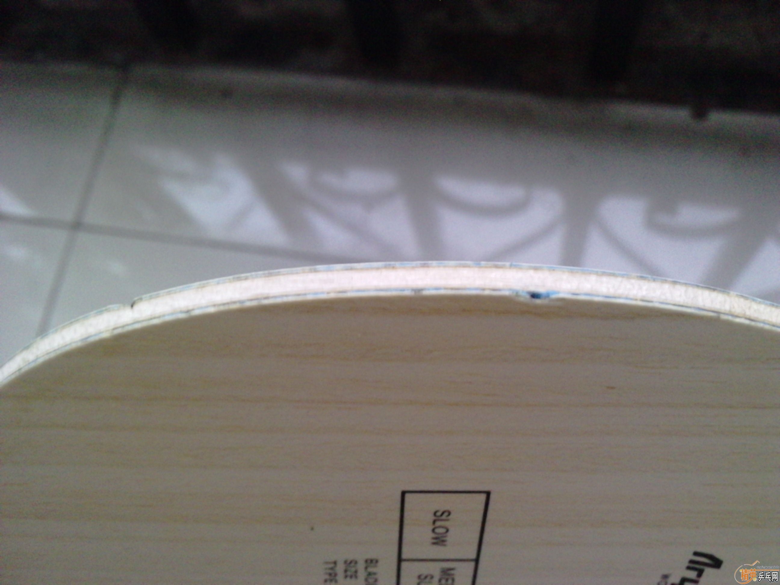 --�Ϻ�˫ϲ---����ALC---����������ruits