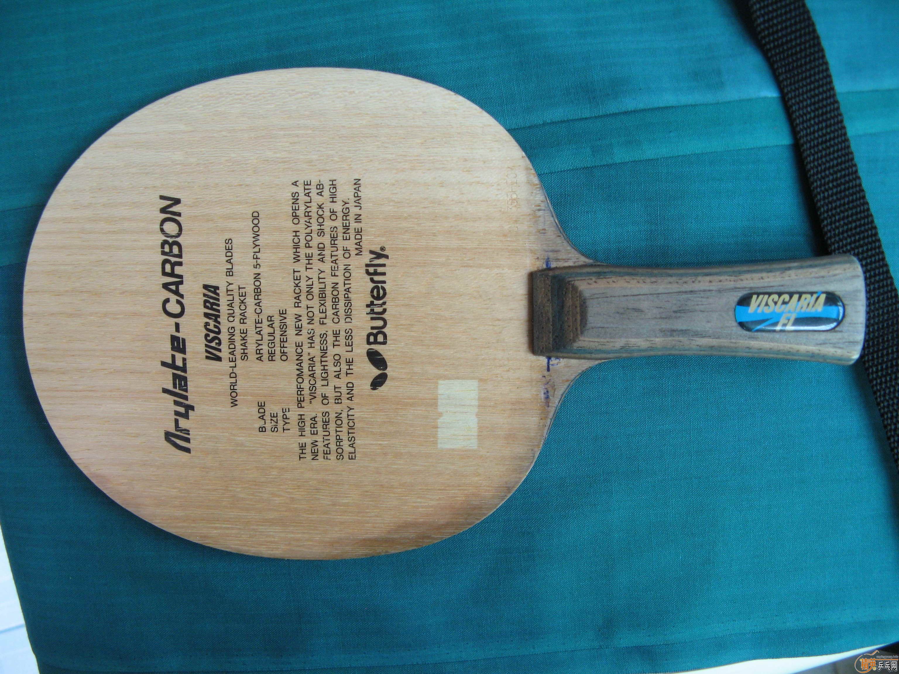 h6pX384t.jpg