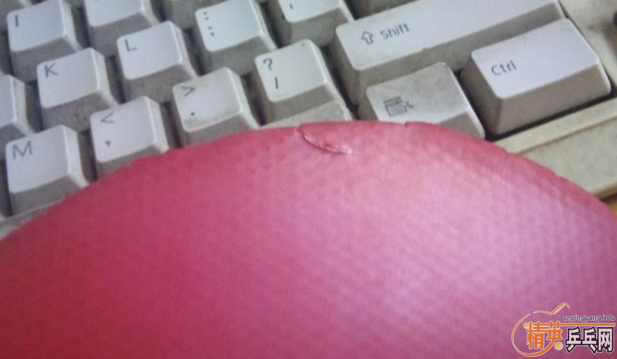 ����DONIC COPPA SPEED�޻���ϵ�׽�+��˫ϲ��Ʒ��ħ��ʦ���׽�+LKT�����׽���ֱ����