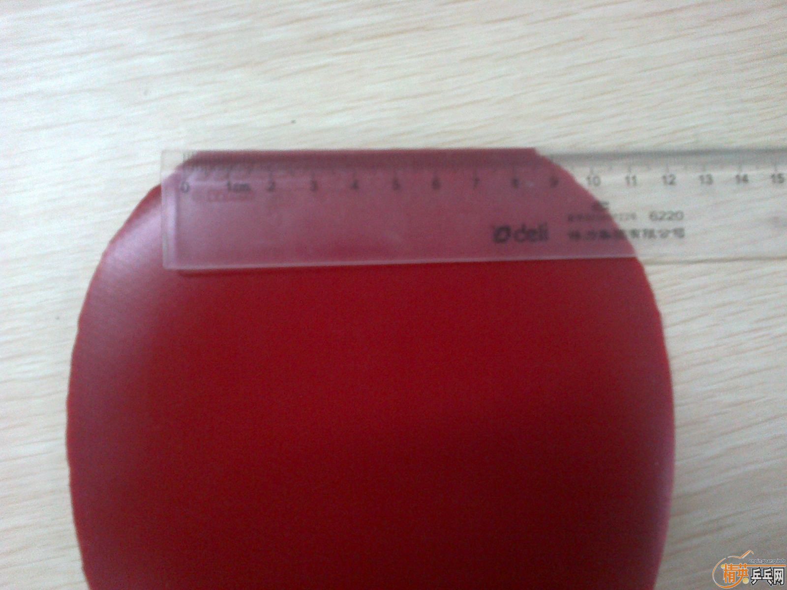 ������Ƥ��9.5�º�ɫŵ����˹