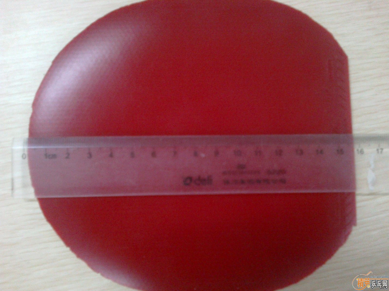 ������Ƥ��9.5�º�ɫŵ����˹