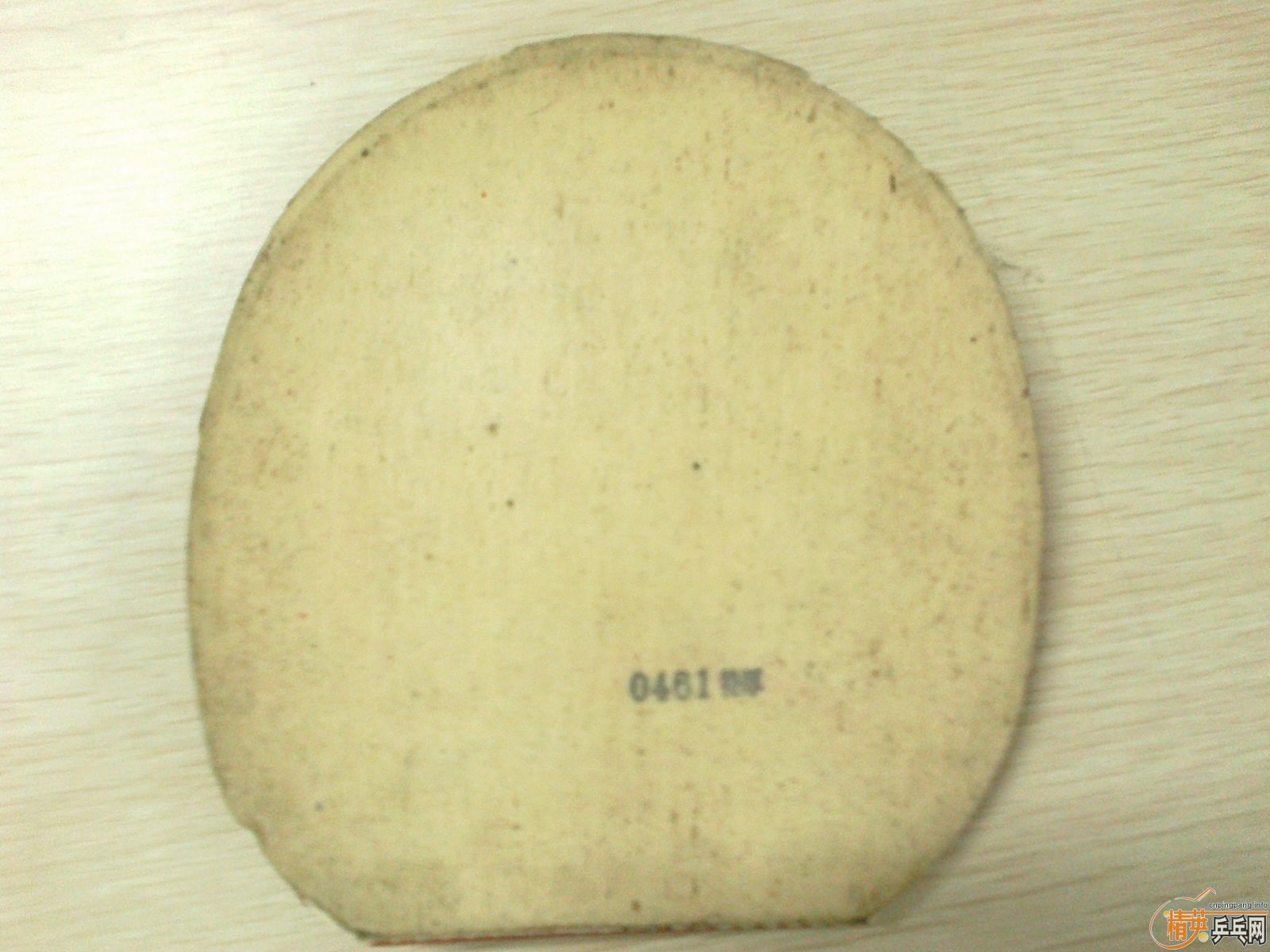 ������Ƥ��9.5�º�ɫŵ����˹