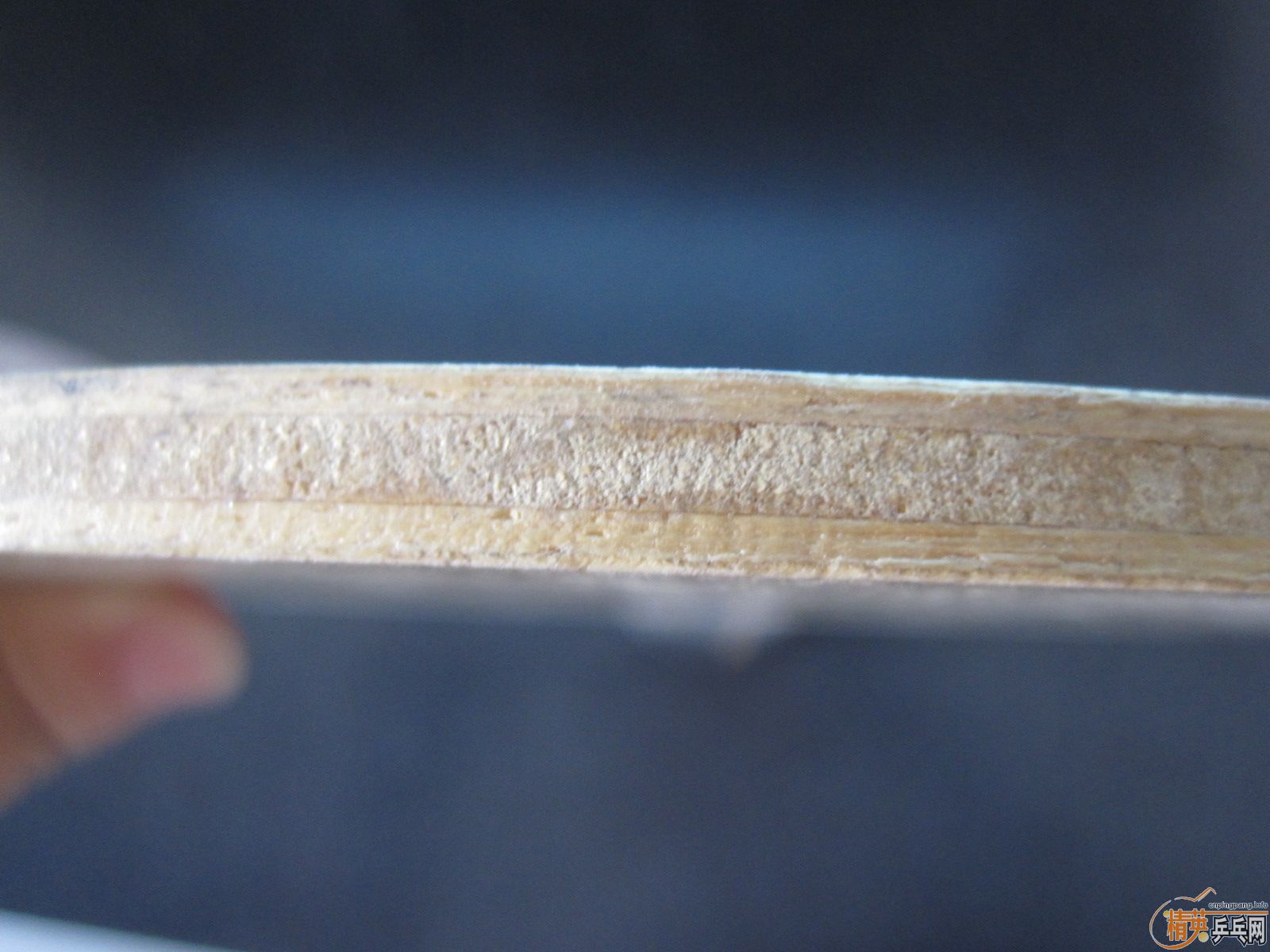 ����ʤ�л�tl�����