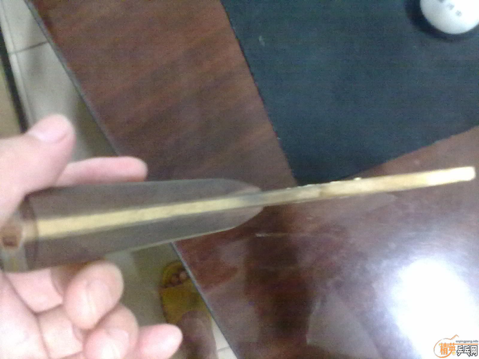 �ͼ�˦��NITTAKU ʯ���Ѵ� FL+��Դ��230���ʡ�֧�������ף���DONIC����