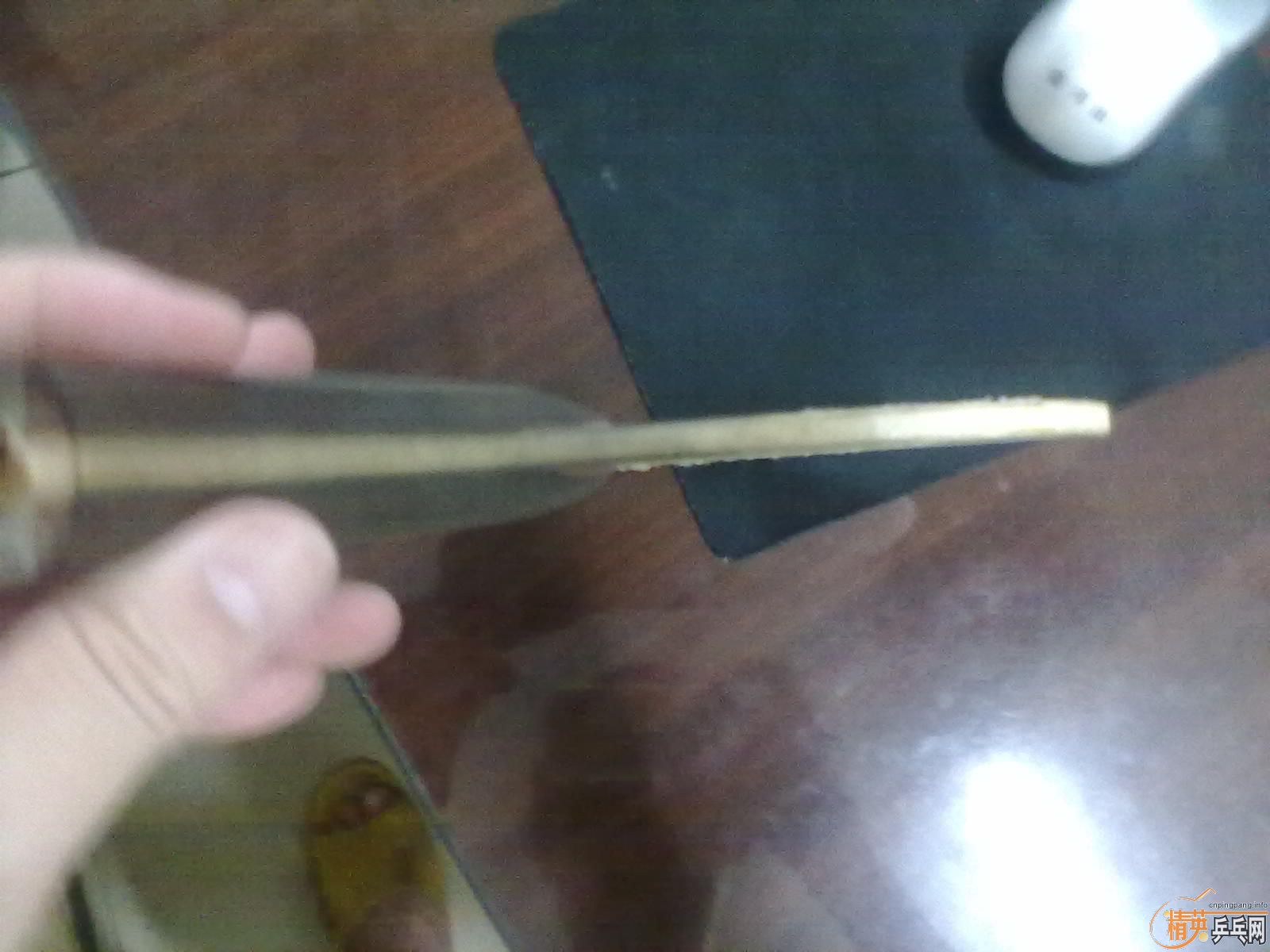 �ͼ�˦��NITTAKU ʯ���Ѵ� FL+��Դ��230���ʡ�֧�������ף���DONIC����