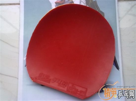 �����ſ��(֧��֧����)