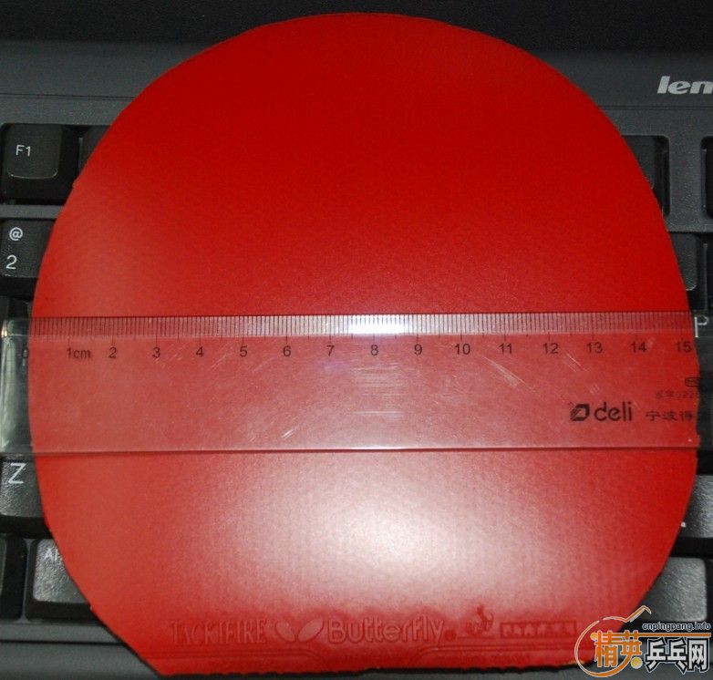 �������׽�