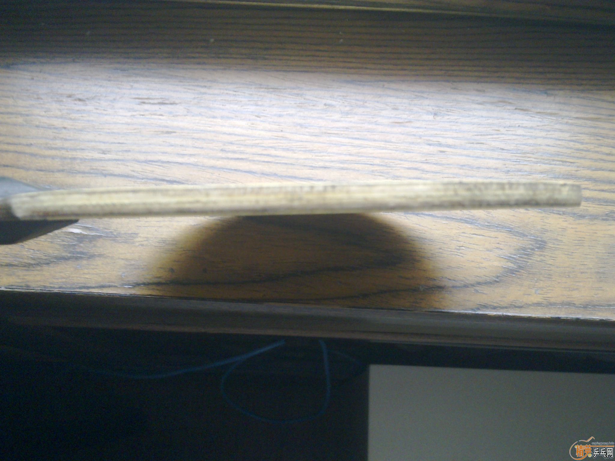 ������2001 �����