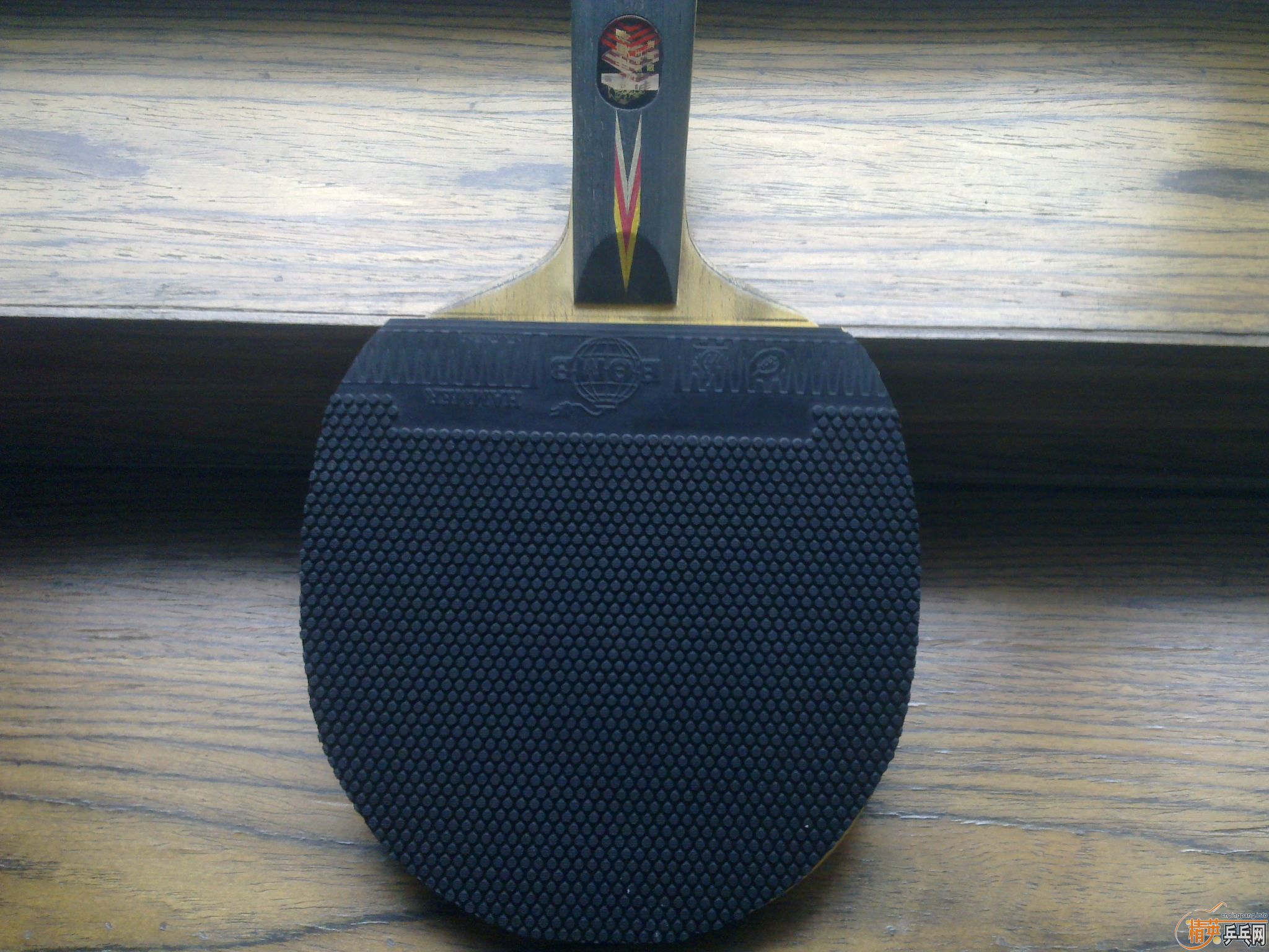 ������2001 �����