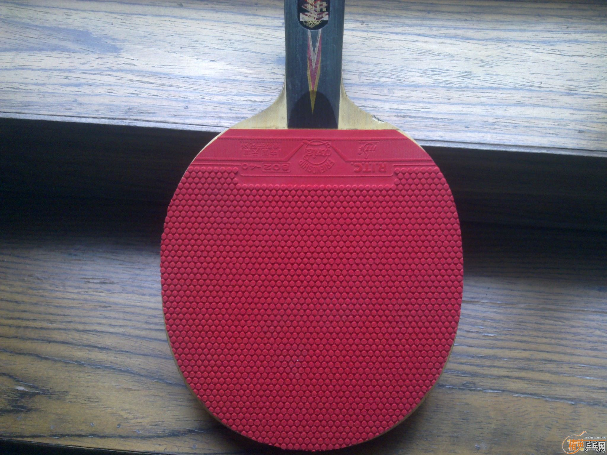 ������2001 �����