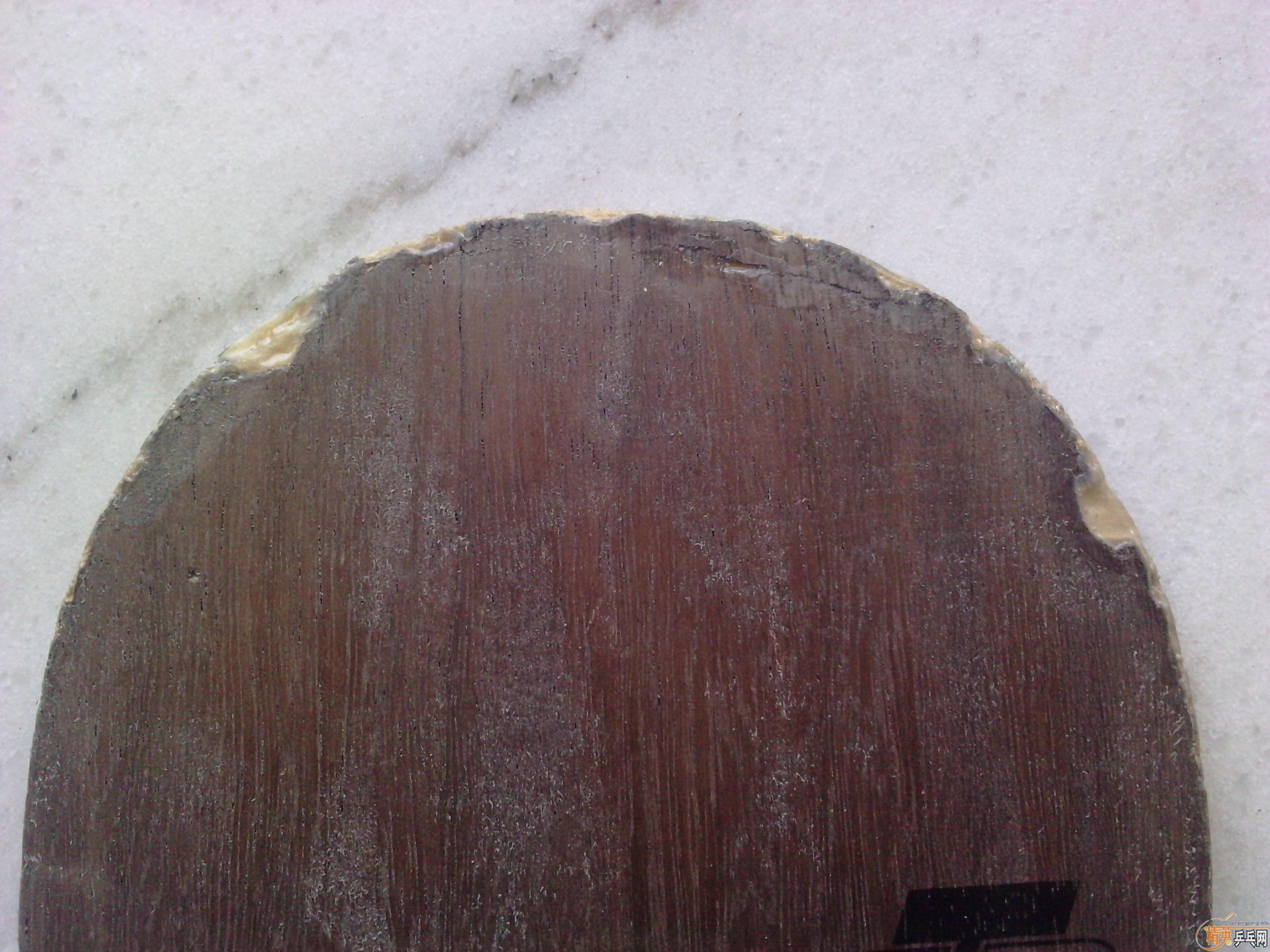 100Ԫ���ʳ����л�STIGA���ӣ�����ֹ����