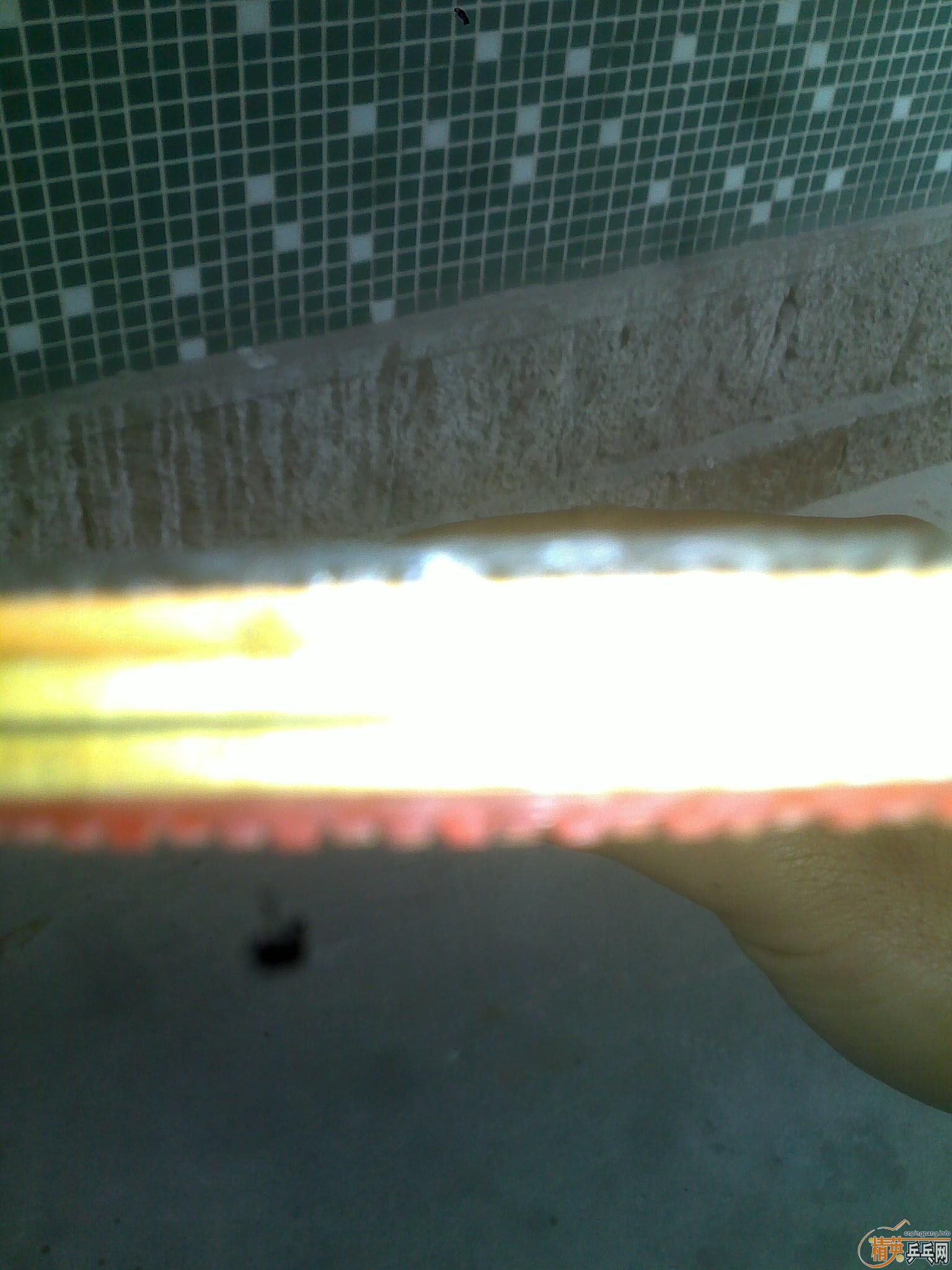 ������QQ799914079