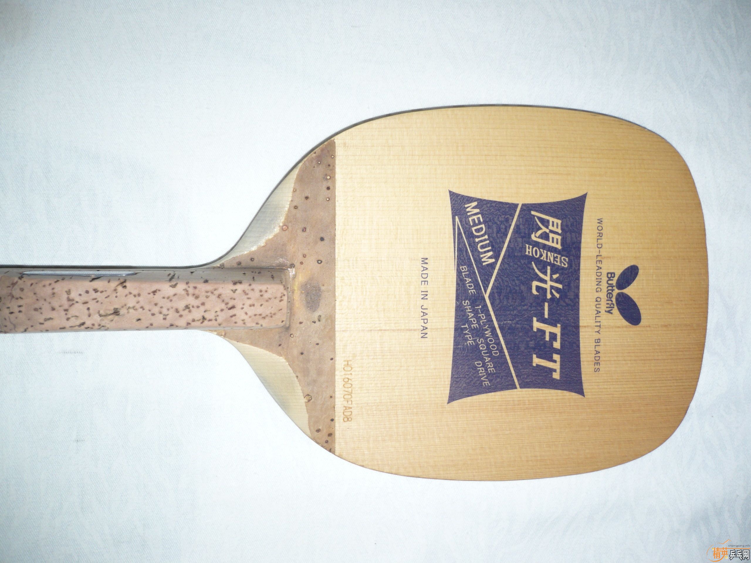 ��9���µ�����������FT