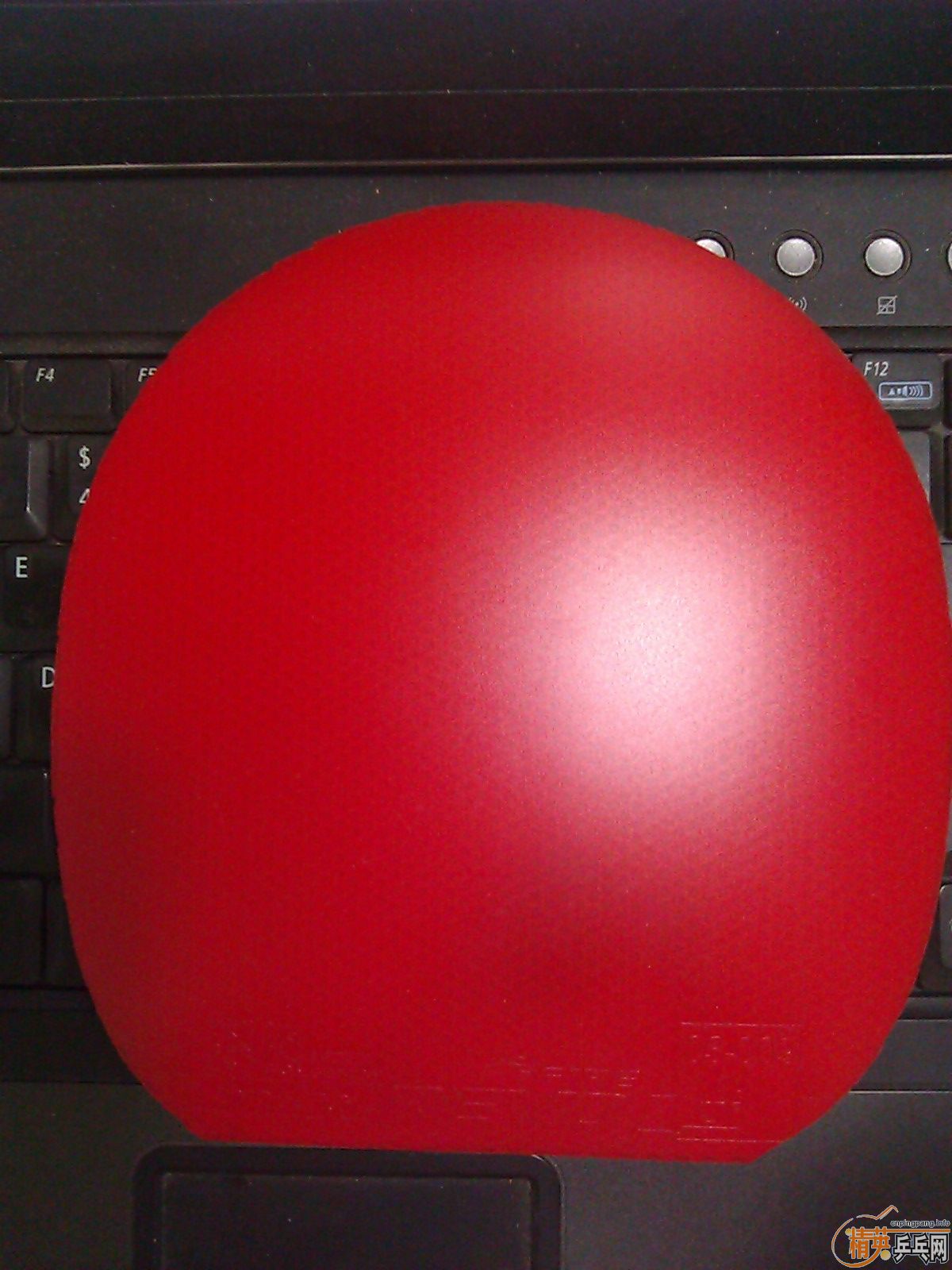 �����ȸ���֮�𣬾���ɣ���ˢ�ı齺ˮ����������