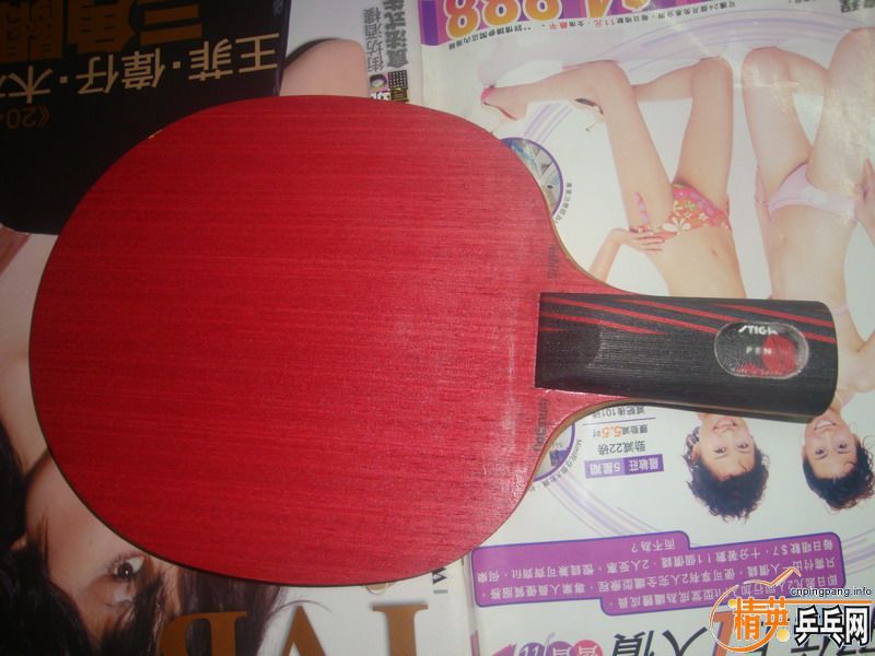 ��ŷ��STIGA ��ˮ��