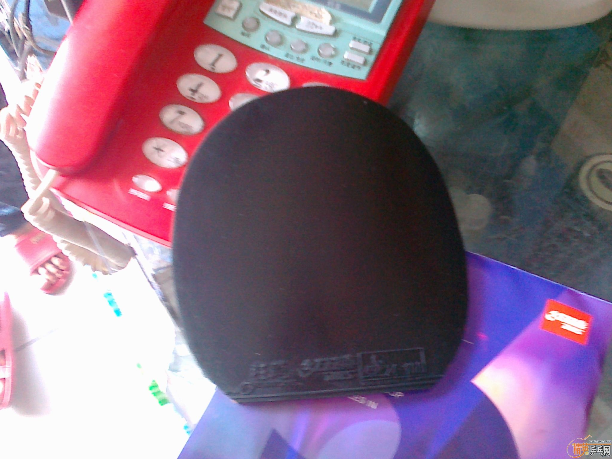 ���� ʡ���ɫ 40��  ��������