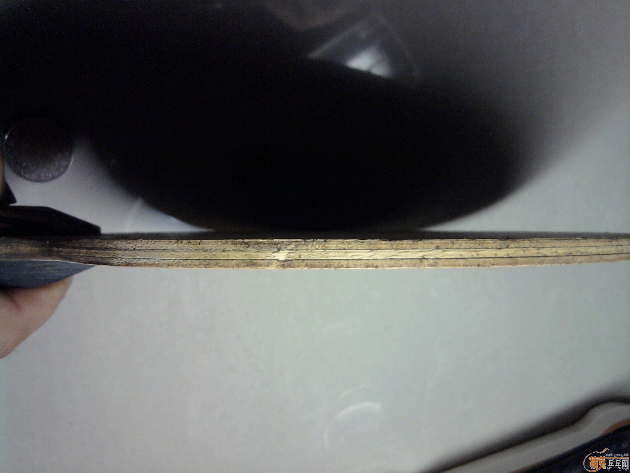 ��������˹̼���л���490������9�¼�Ʒ�л�õ��5 ������������Ż�~������������