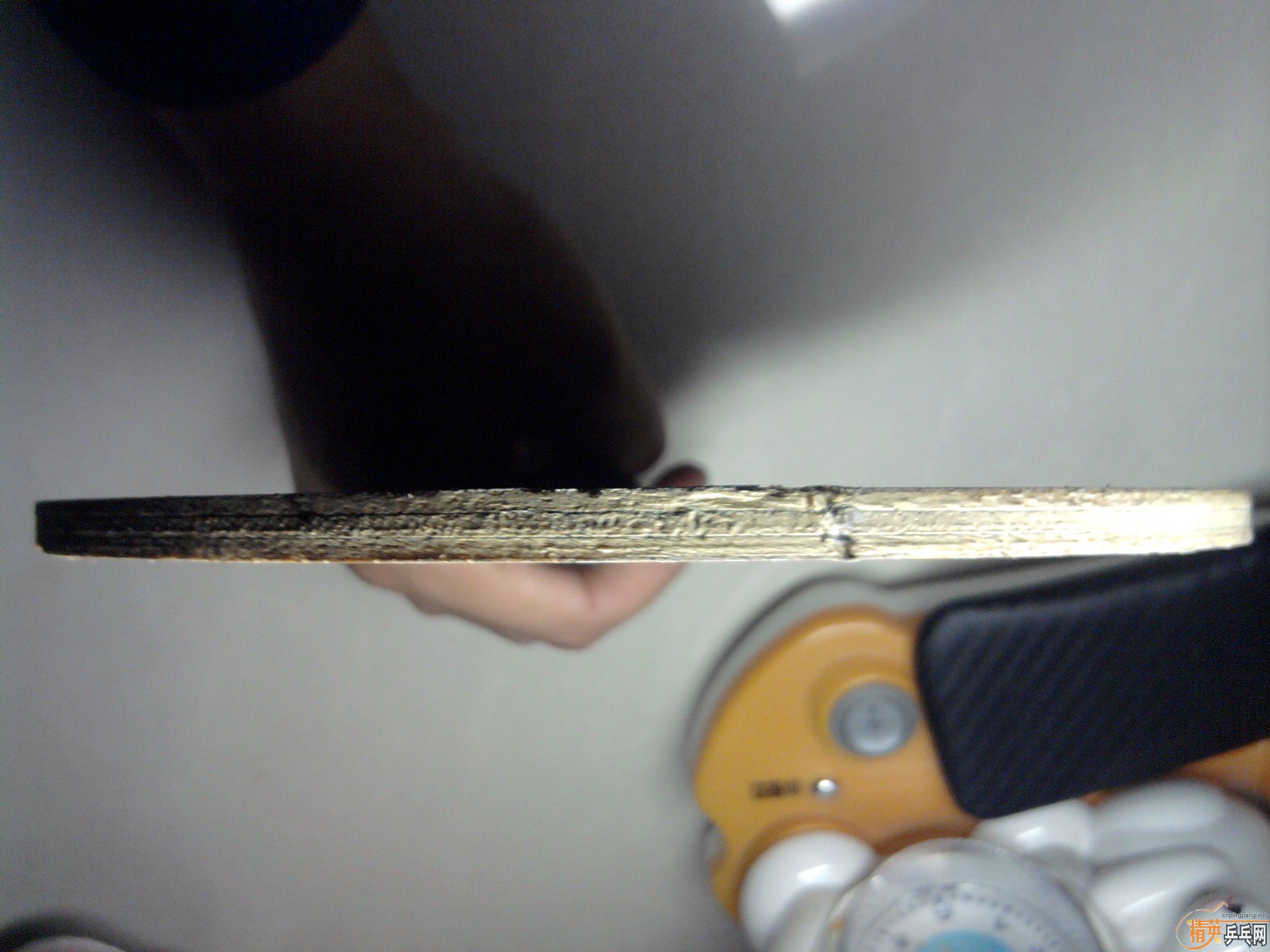 ��������˹̼���л���490������9�¼�Ʒ�л�õ��5 ������������Ż�~������������