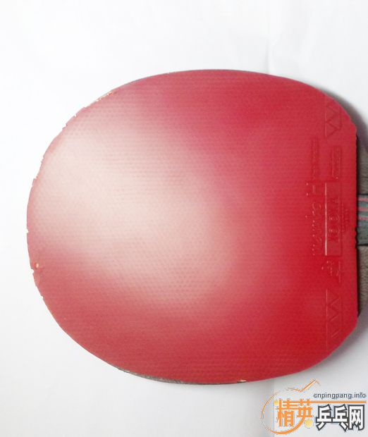 ��9��������̽���8.5����������