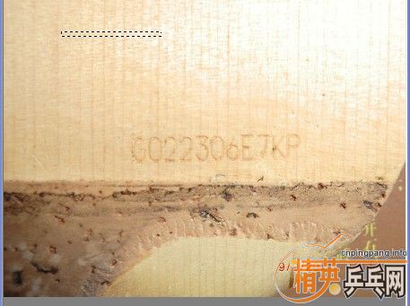 ���ۺ�����ֱCYPRESS