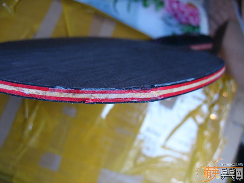 ת��ŷ����7.6��310Ԫ����