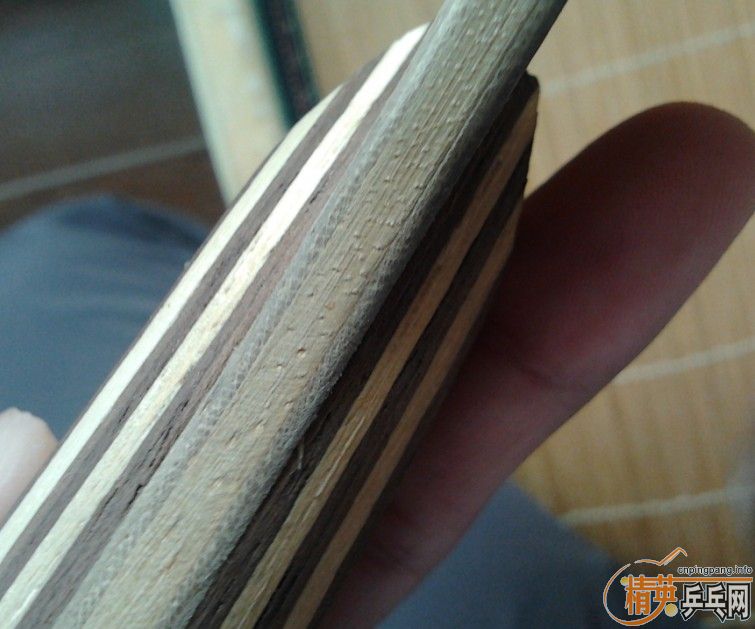 һֻ��FL���Ʊ����������û�ֱ��