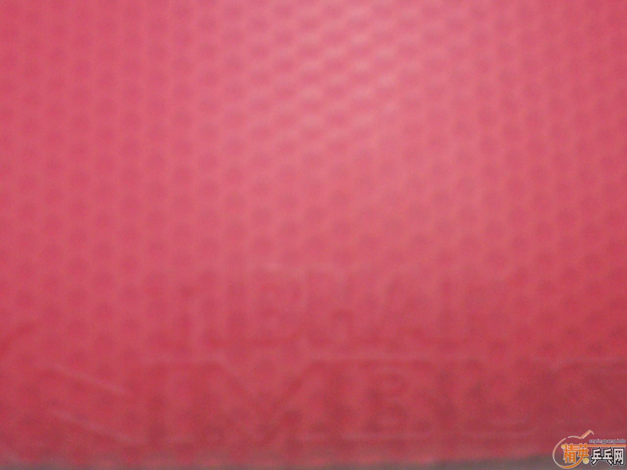 ���VIP 135����