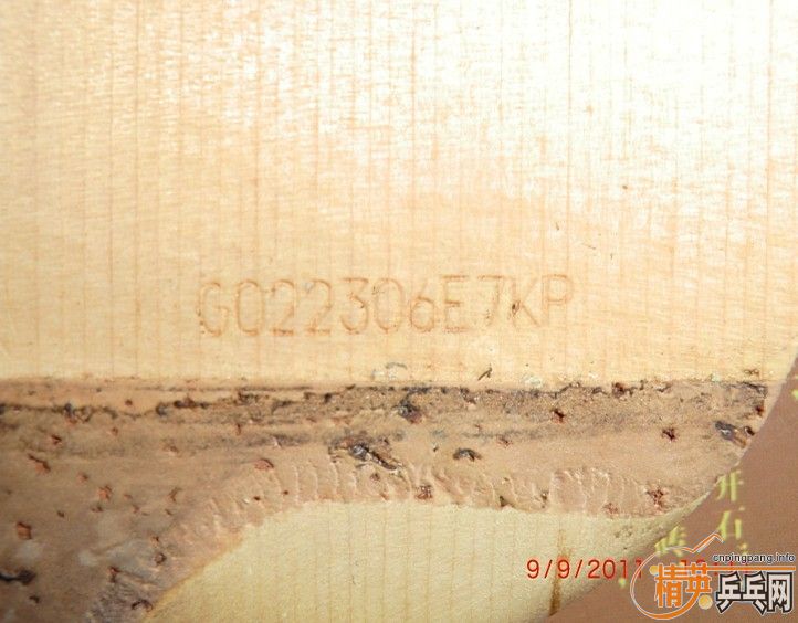 ��һ���ϵ����Ƶ����ְ汾�ĺ���CYPRESS