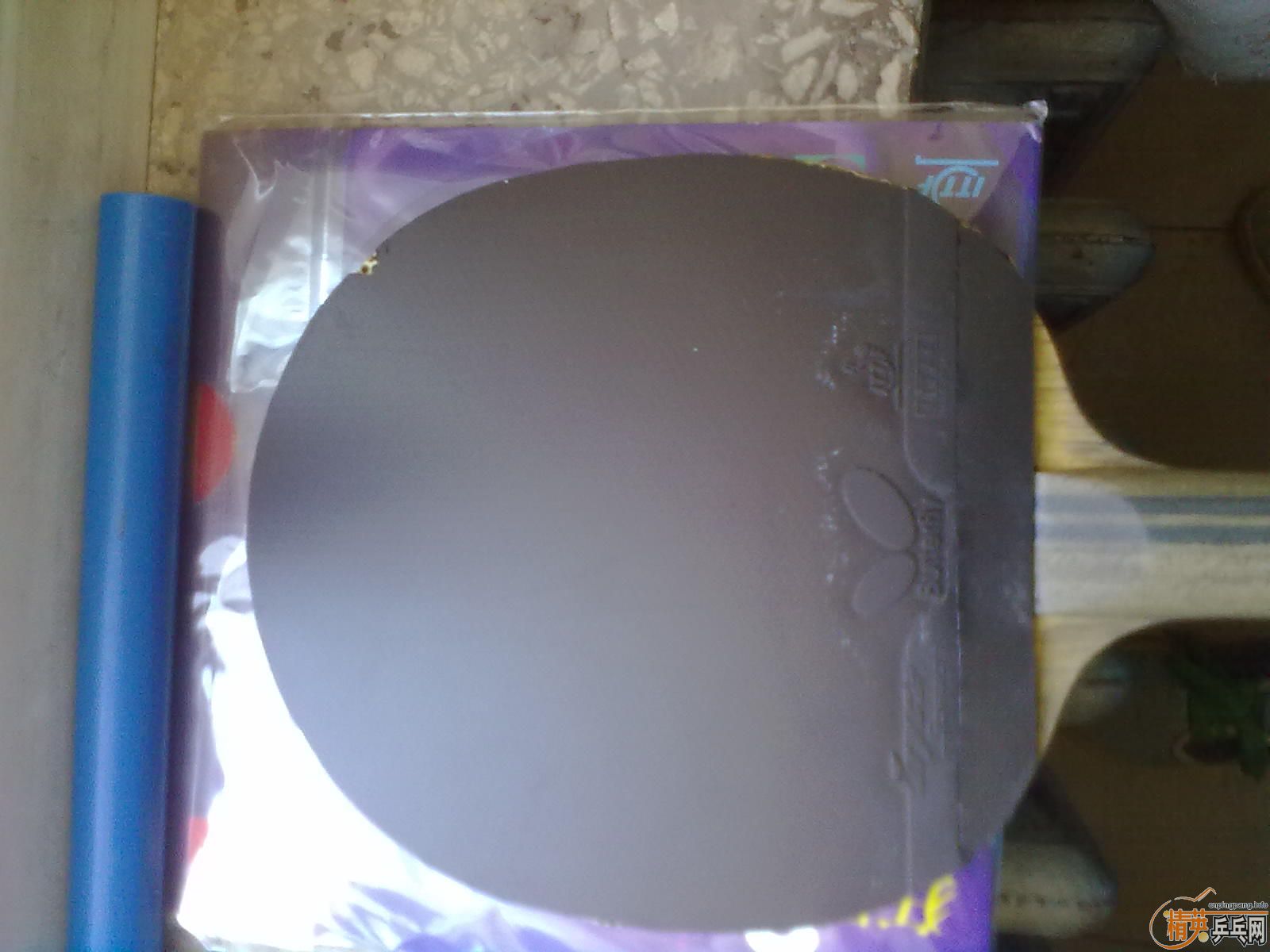 �����ֻ���  / ���н�Ƥ��