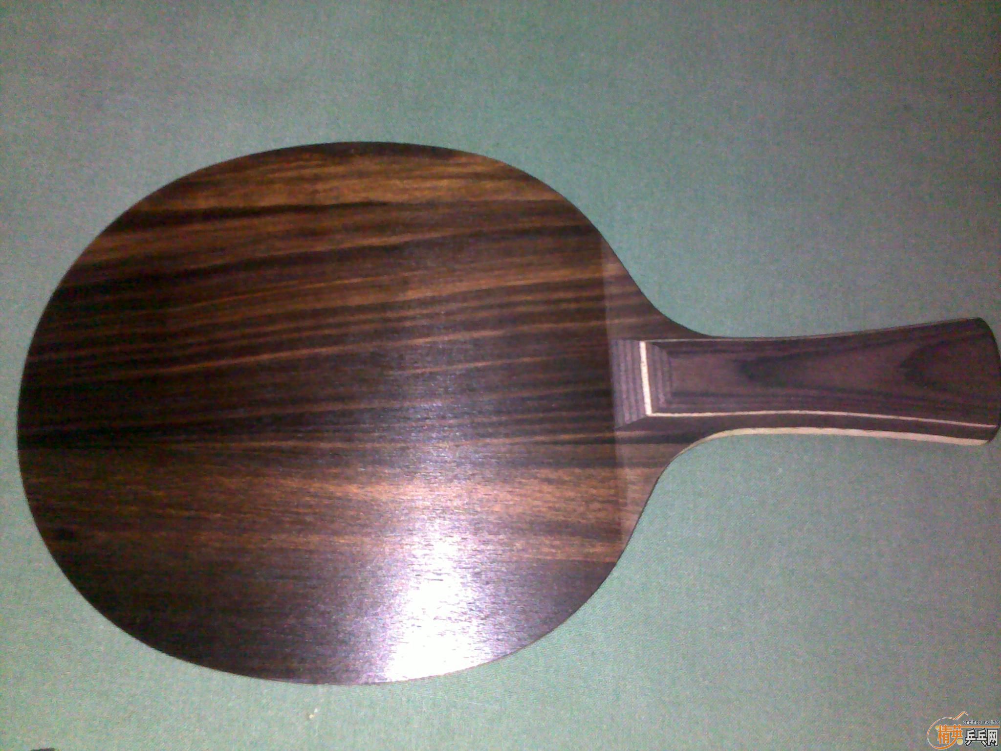 ��ֻ���һ���޴�ĥ��ŷ���̴��FL