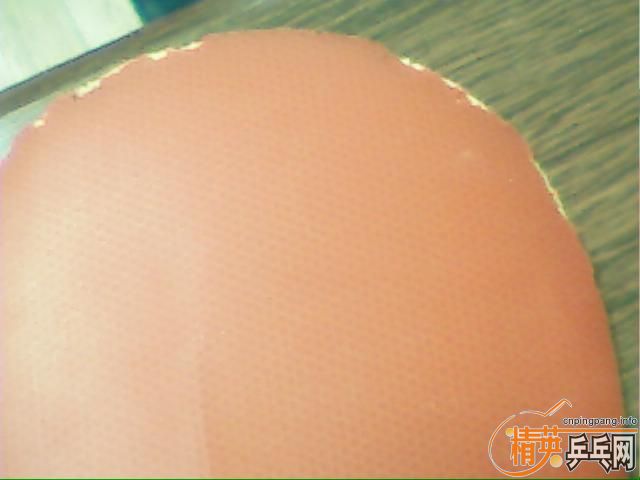 [�Ƽ�][ԭ��]����һ��nittaku narucrossʮ�־� soft �ָг��ã����ڻ�