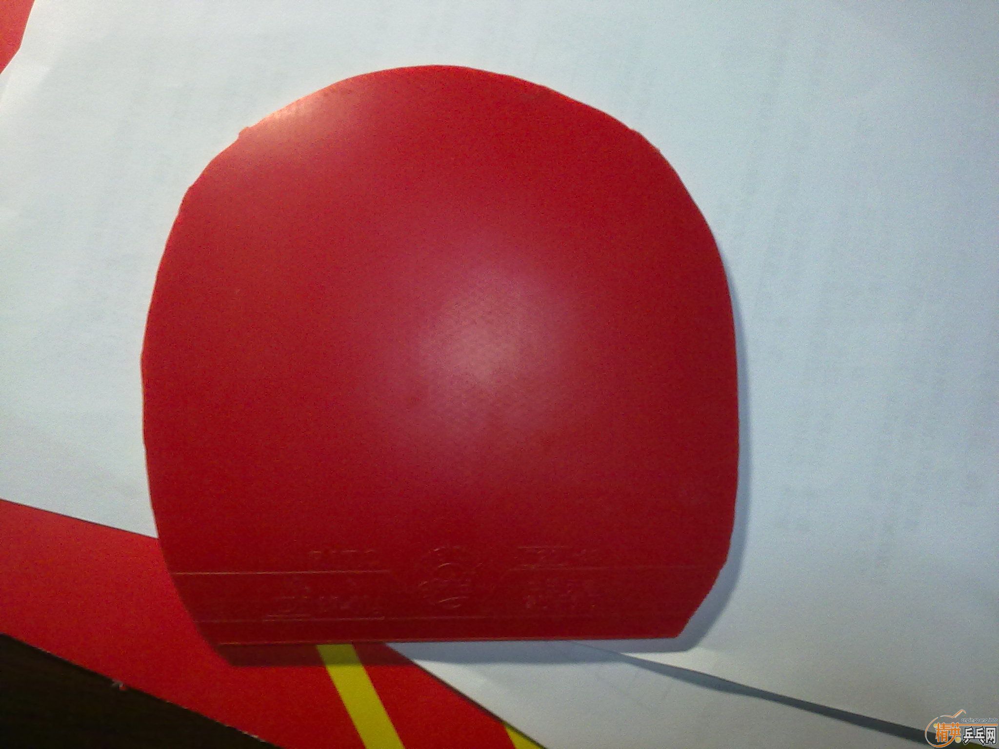 ���˳���Ƥ