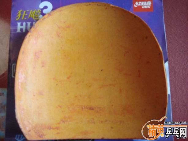 �ٳ�ͦ��ճĤ�׽�������������׽�������֧�������ӣ�