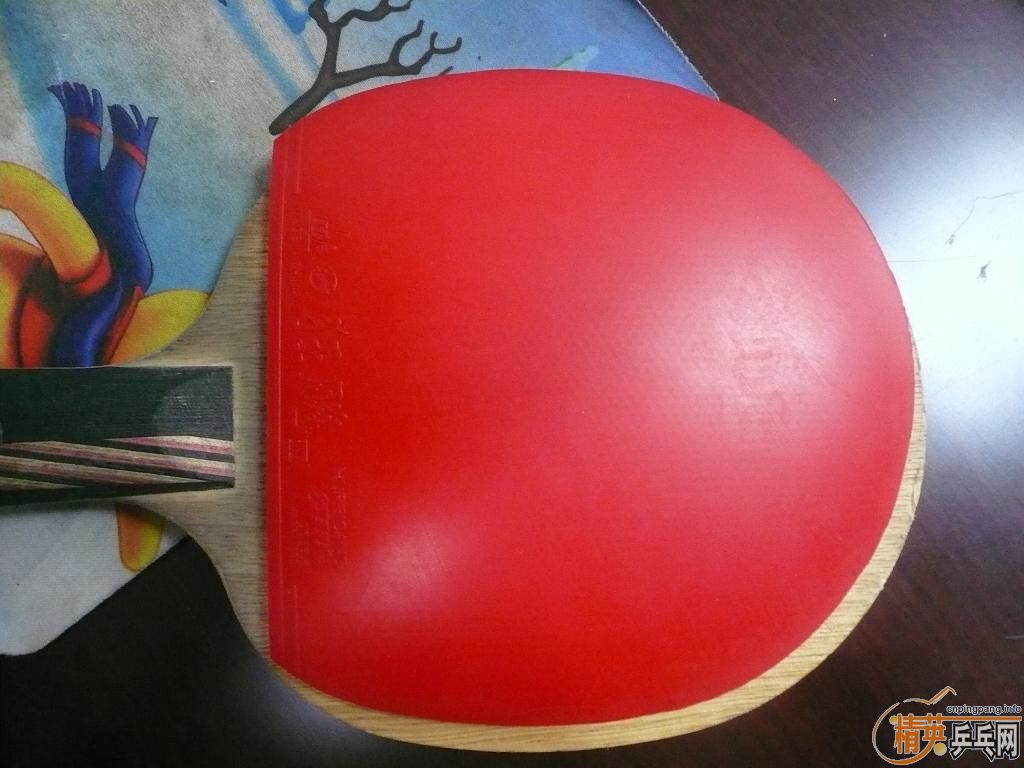 STIGA̼����˹ֱ+��ʡ����300������