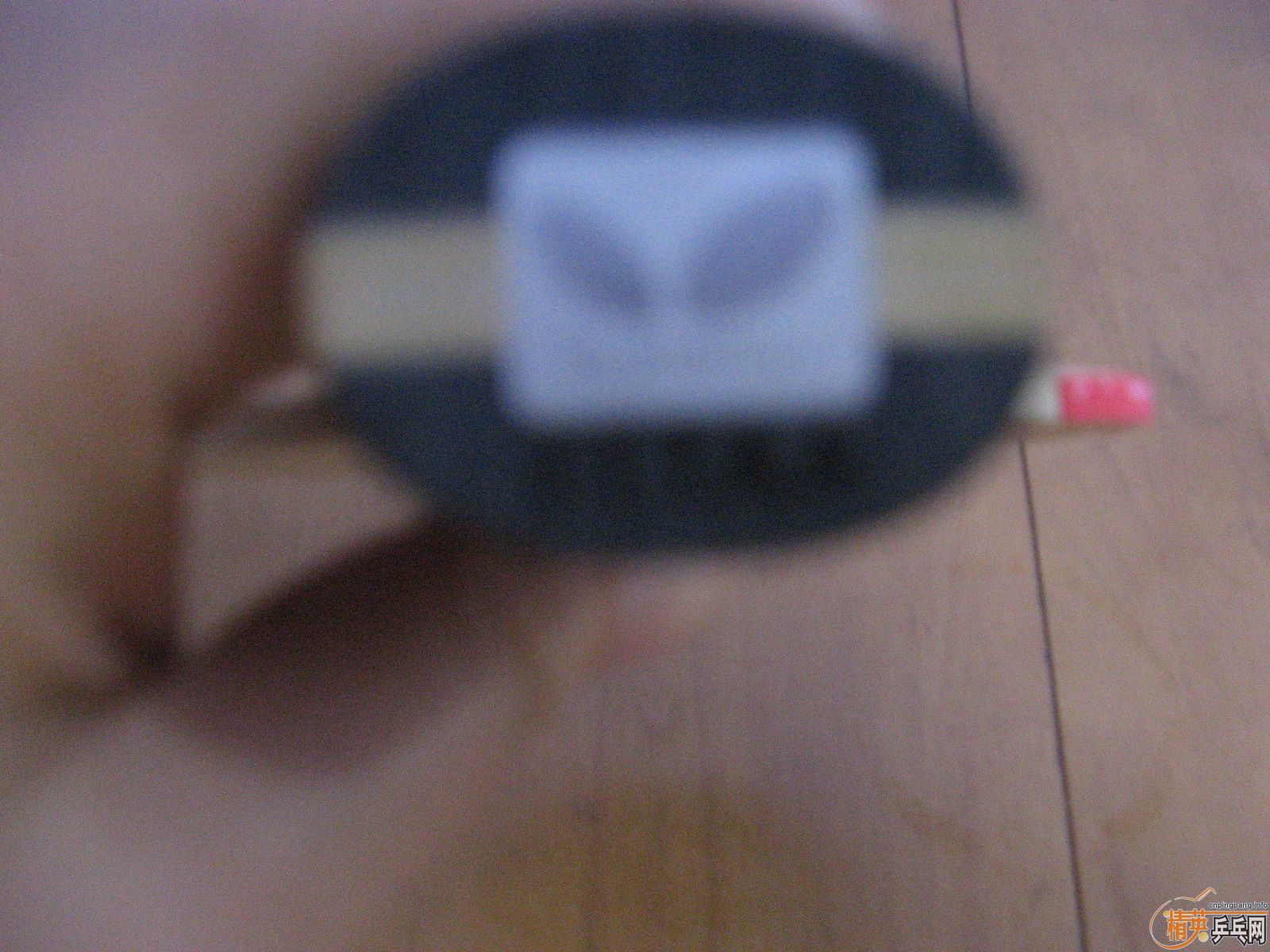 ��������»�--��ʫ��9.5���£� 900����