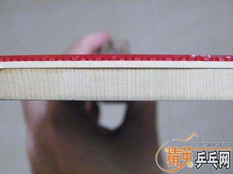 ��һֻ����10.0+Ѫ��430 2.0�׽�